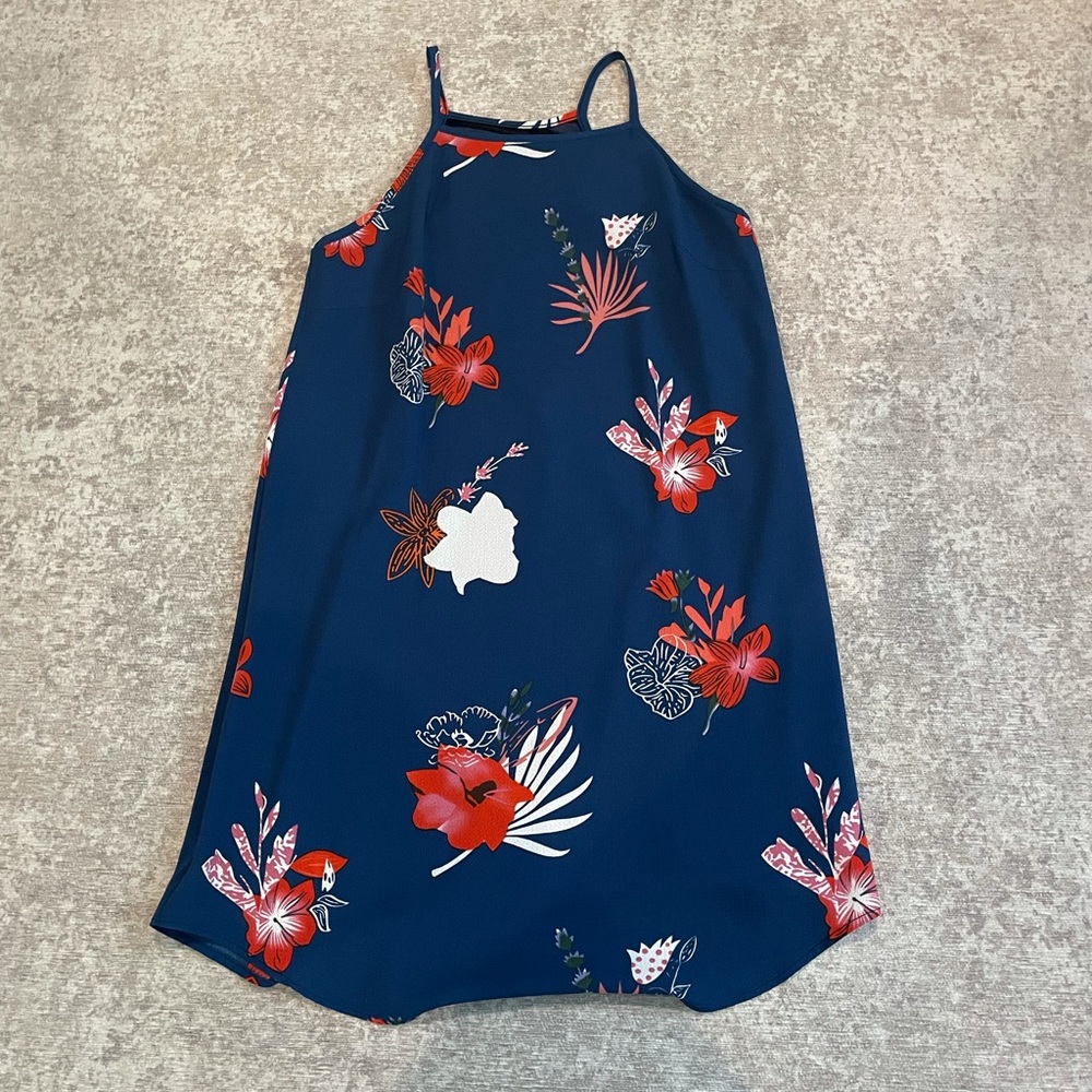 Dress I bought on Amazon